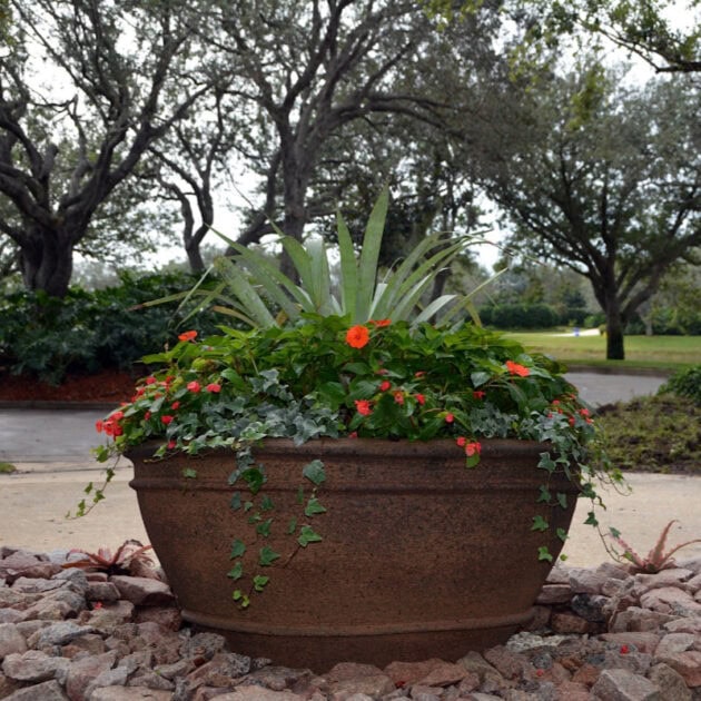 Potted Plant